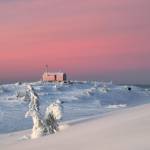 barbiejasminerosette-150x150